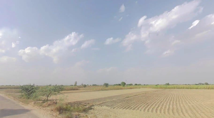 Bamboli, Rajasthan, India