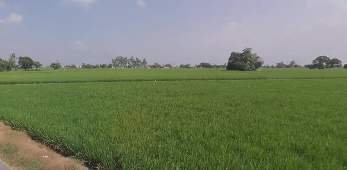 Lehra, Punjab, India