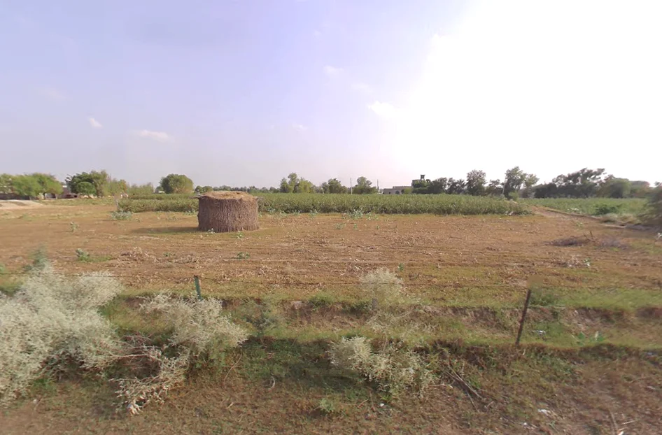 Kaluana, Haryana 125103, India preview 2