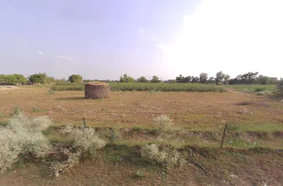 Kaluana, Haryana 125103, India preview 2