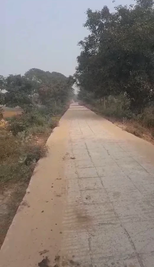 Maner, Bihar 801108, India