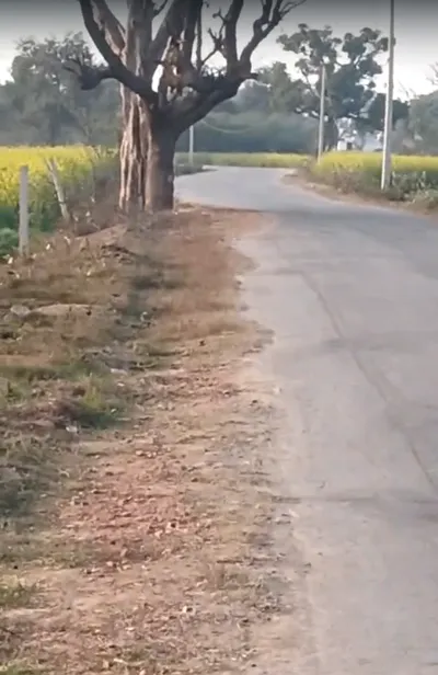 M32Q+R66, Bhadaka, Rajasthan 321204, India preview 3