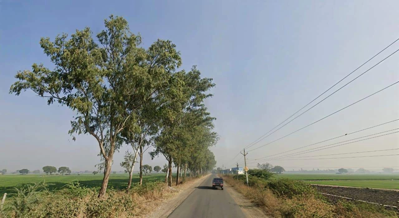 RQCH+6MM, Paliya Haidar, Madhya Pradesh 453111, India