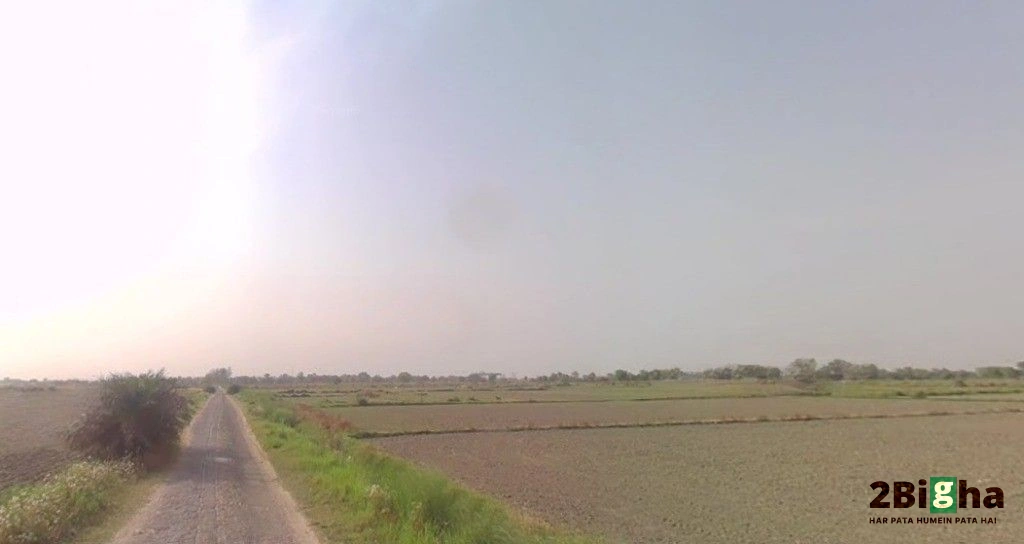 Sector 17A, Gautam Buddha Nagar, Uttar Pradesh 203201, India