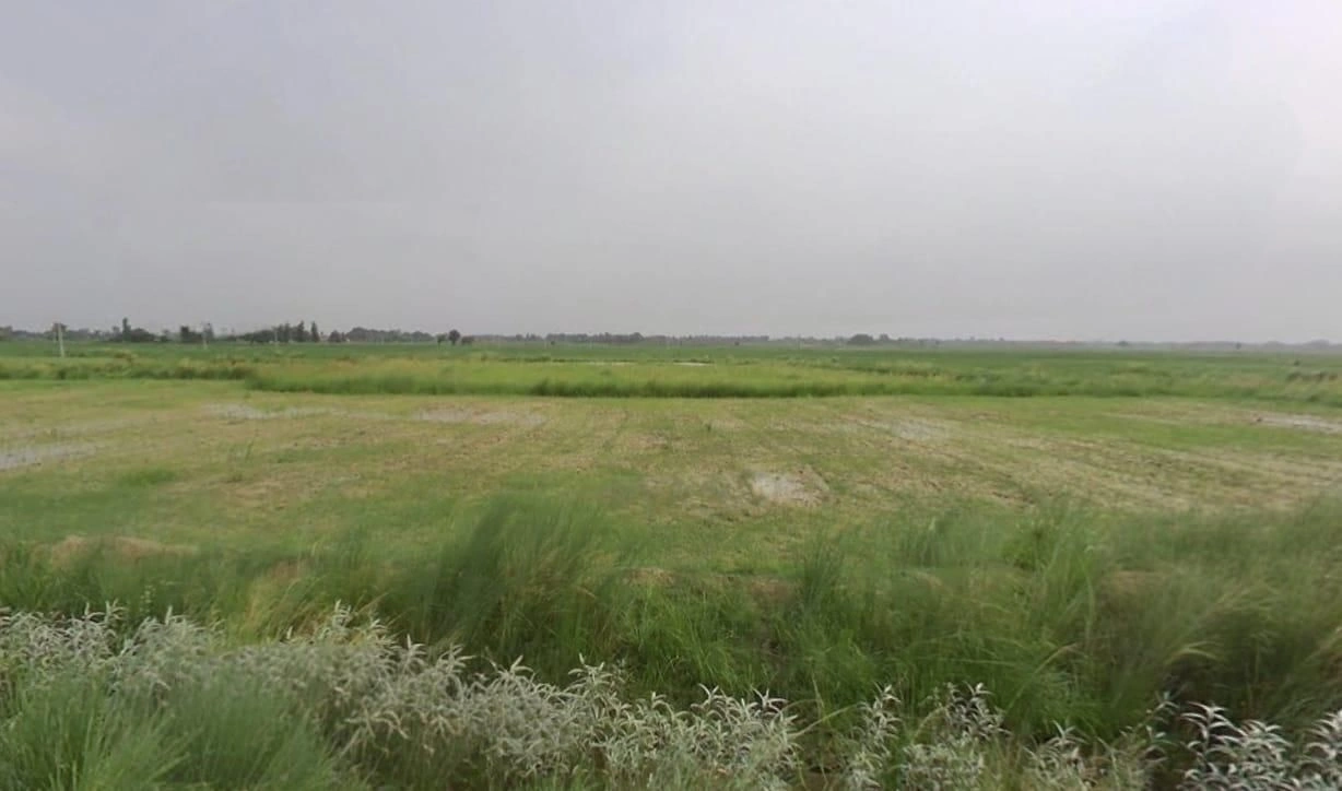 Rajnagar, Madhya Pradesh, India