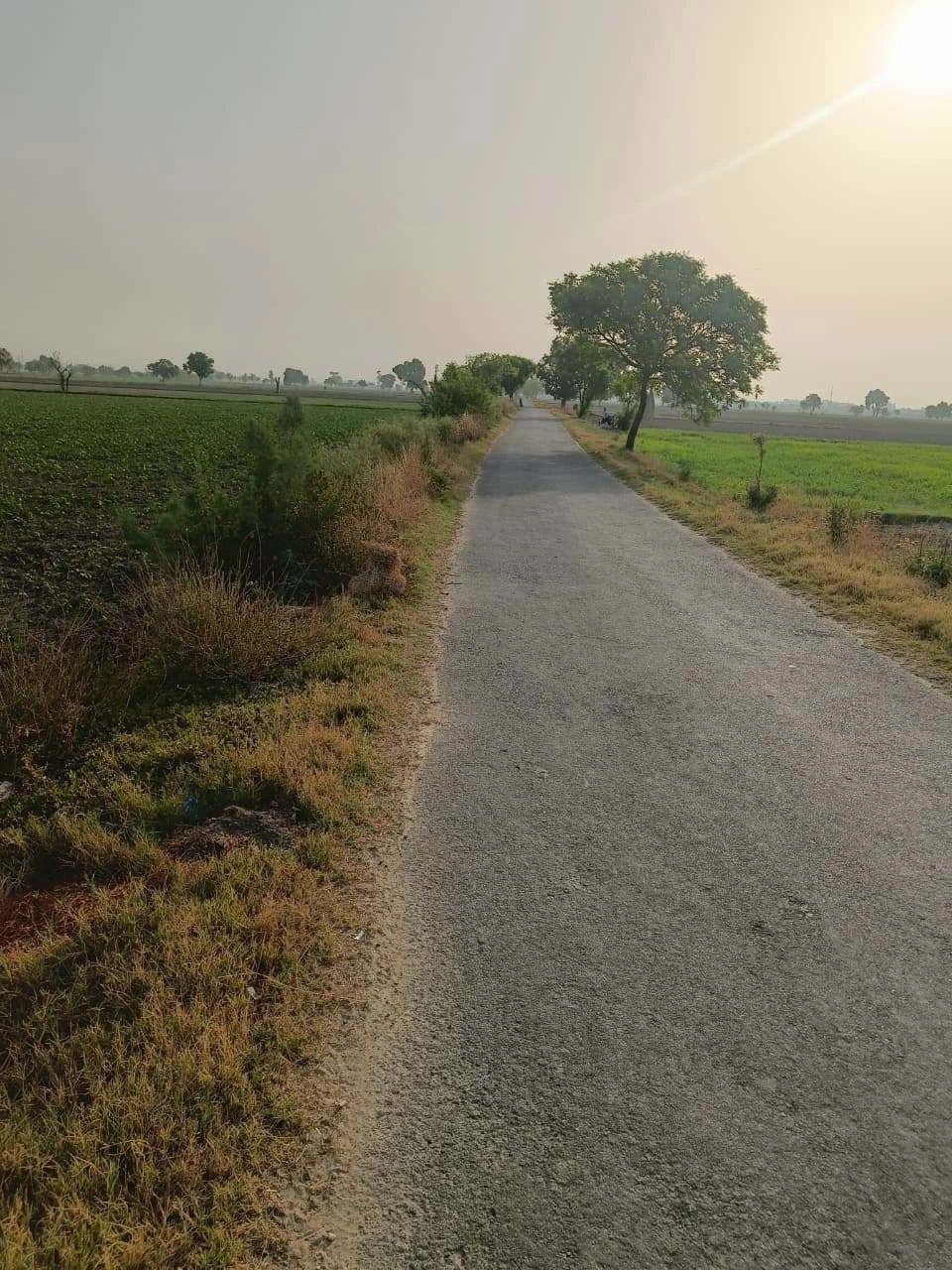 Tentigaon, Uttar Pradesh, India