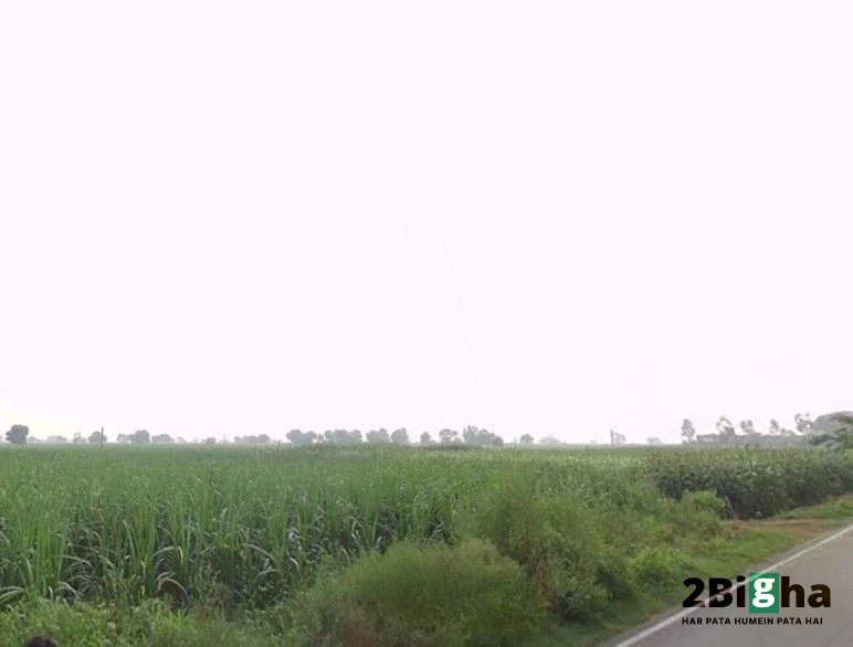 Gotka, Uttar Pradesh 250344, India