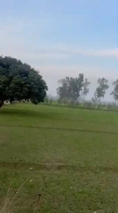 MVPM+VJ8, Muzaffarnagar, Shakarpur, Uttar Pradesh 251327, India