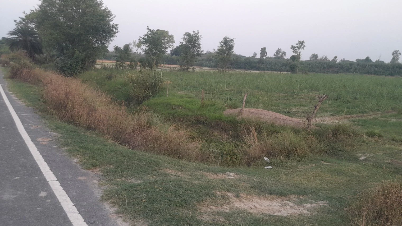 Q33Q+XG Kot Saray, Uttar Pradesh, India