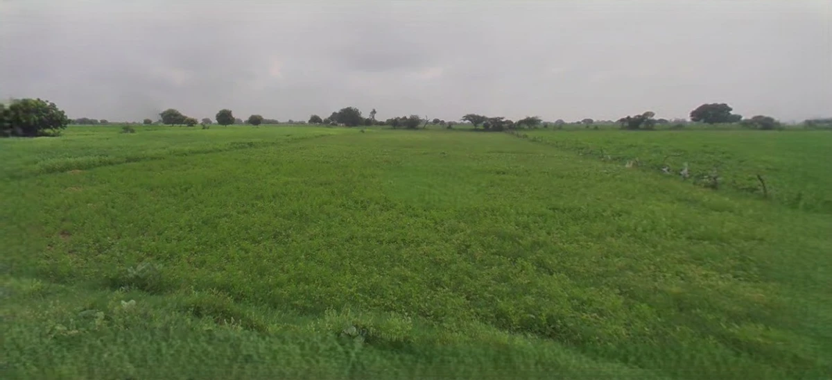 Jhajjar, Haryana 124103, India