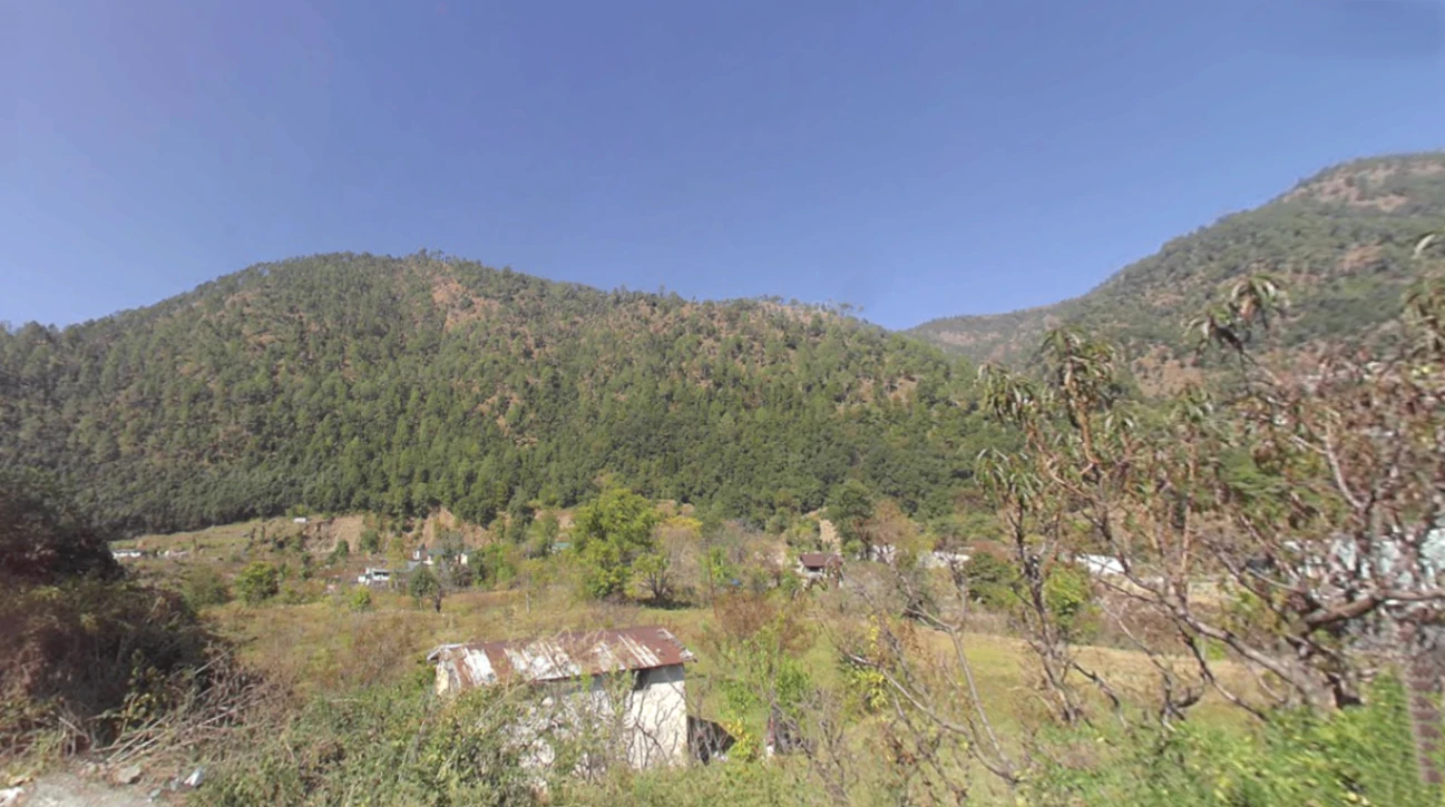 Tani, Uttarakhand 263643, India