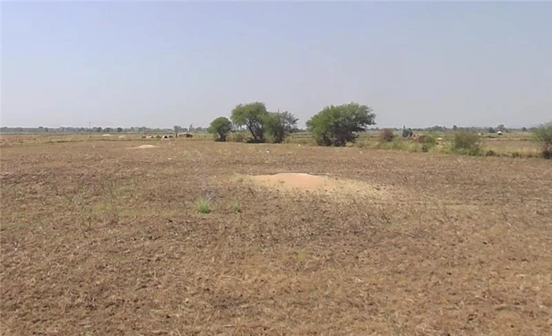 Dhuri, Punjab 148024, India