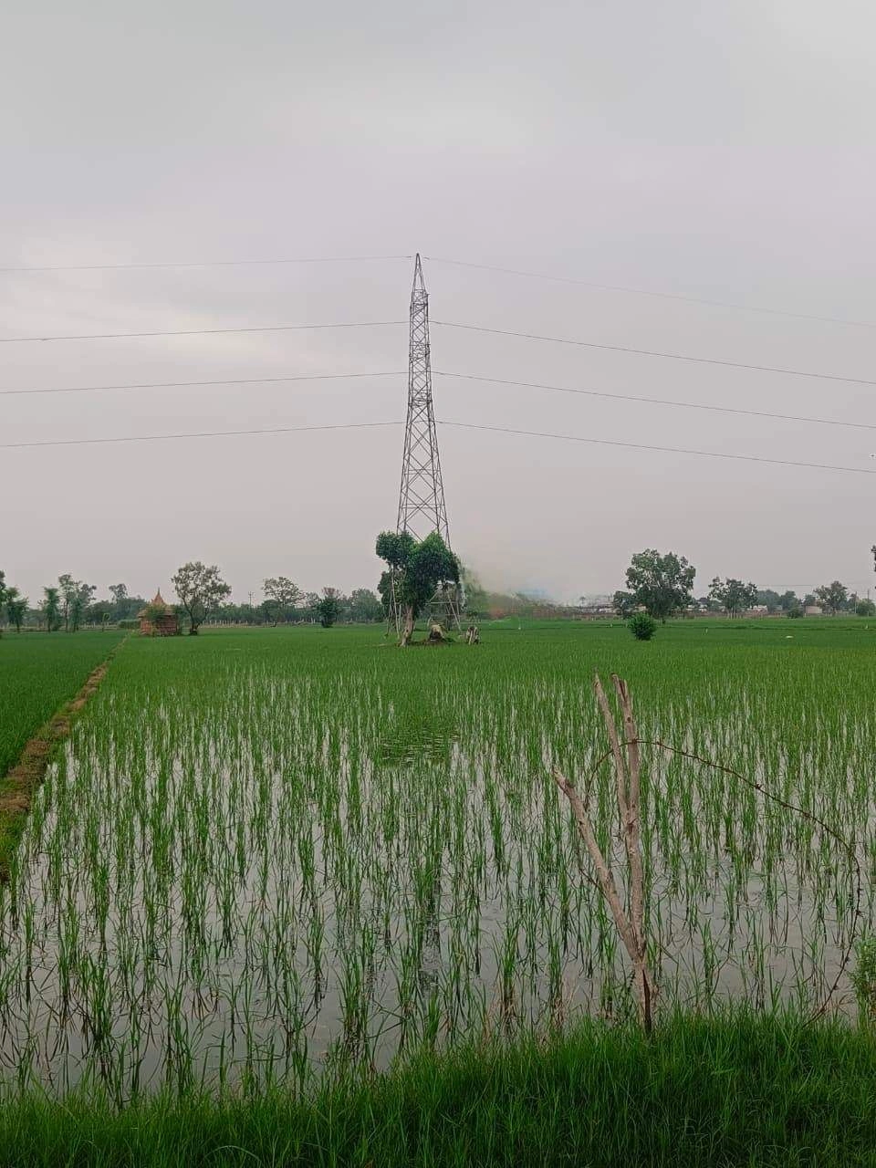Bukharari, Mathura, Uttar Pradesh, India