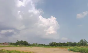 Kiajhari, Odisha 752018, India preview 3