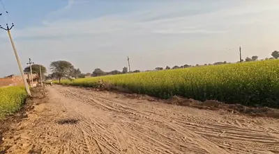 9R7C+2P Maujpur, Rajasthan, India preview 3