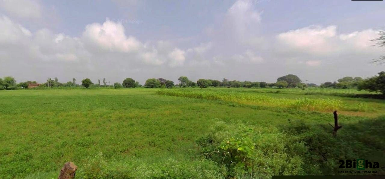 Chhatarpur, Madhya Pradesh 471001, India