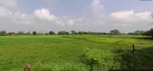 Chhatarpur, Madhya Pradesh 471001, India preview 2