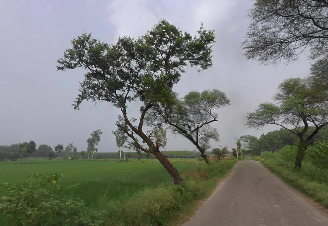 Abdullapur Mazara Naugaun, Uttar Pradesh 247121, India