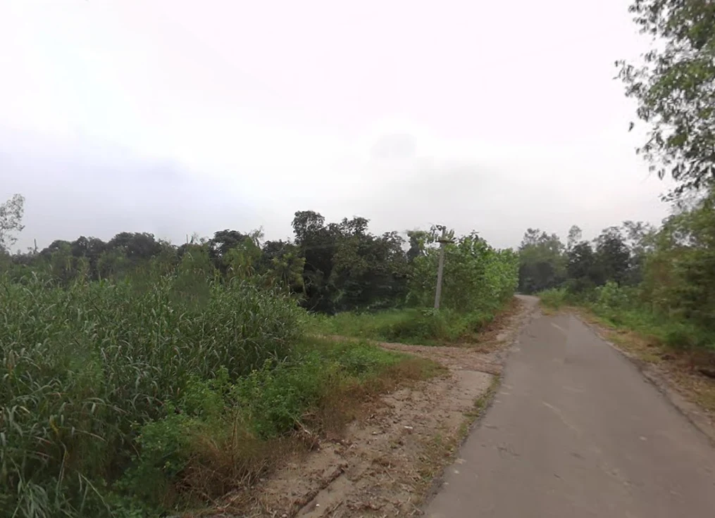Mata Shakumbhari Devi Rd, Alipur Alis Bhagwala, Uttar Pradesh, India