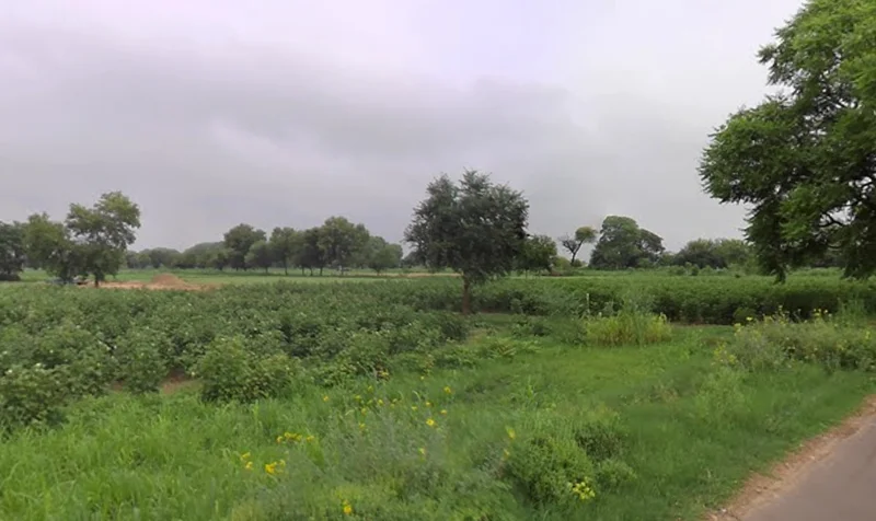 Hisar, Haryana, India preview 3