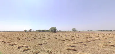 Kelia Vasna, Gujarat, India preview 3