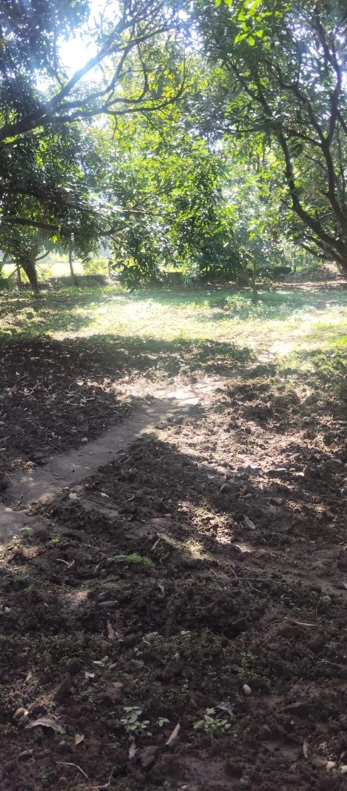 Aduwala, Dehradun, Uttarakhand 248142, India - Photo 2