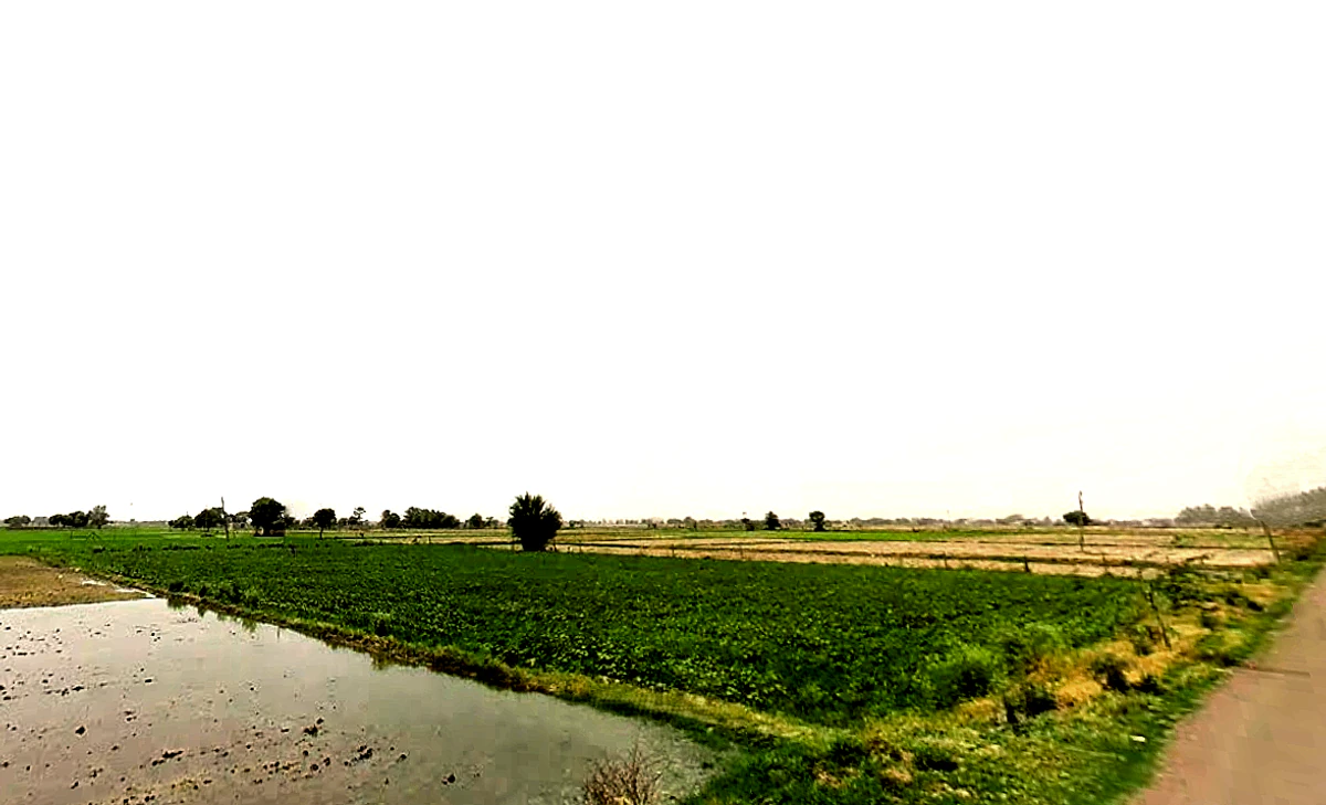 Pataudi, Haryana 122503, India