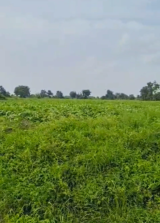 F375+M95, Hoshiarpur, Bachhohi, Punjab 146102, India - Photo 3