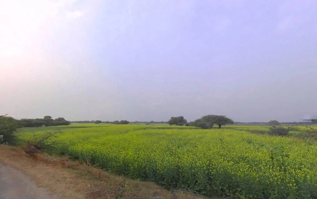 66PC+749, Lamya Joonardar, Rajasthan, India preview 3