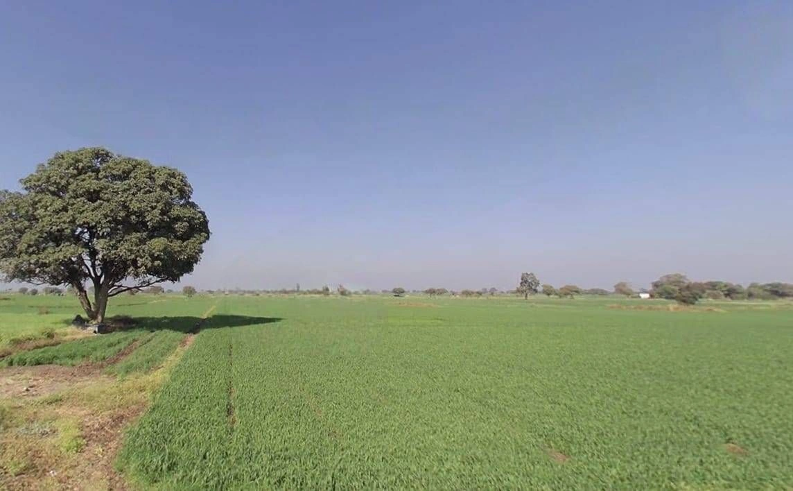 Bhidota Khurd, Madhya Pradesh 454001, India