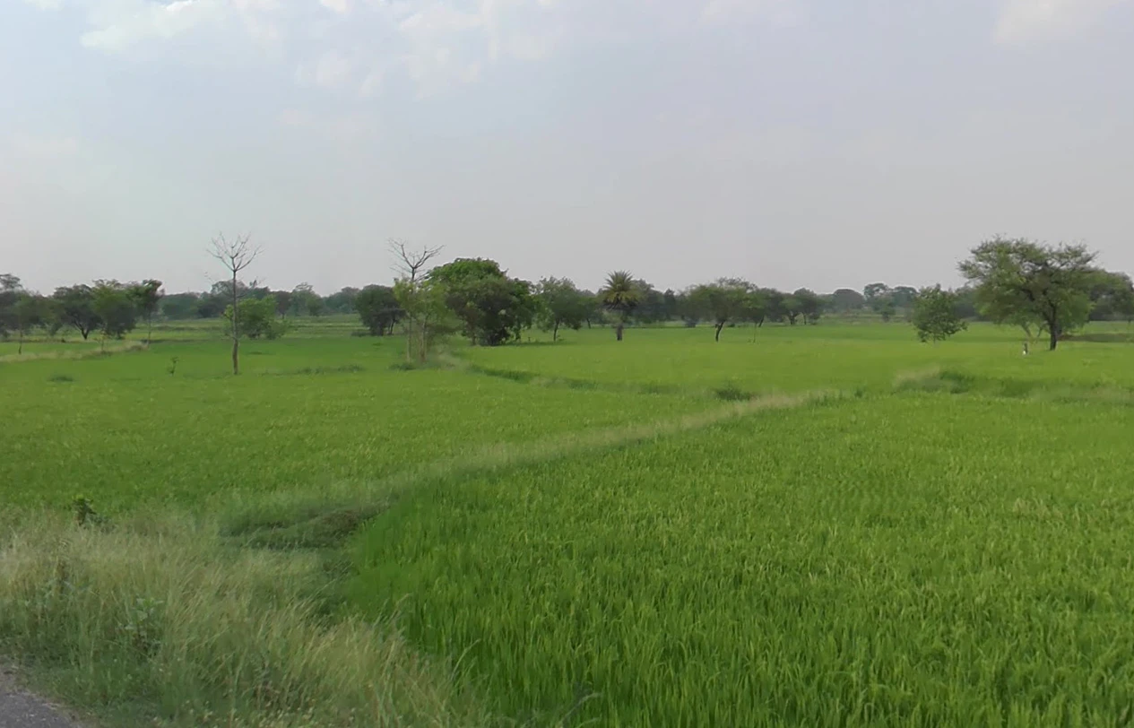 Basen, Chhattisgarh 496224, India