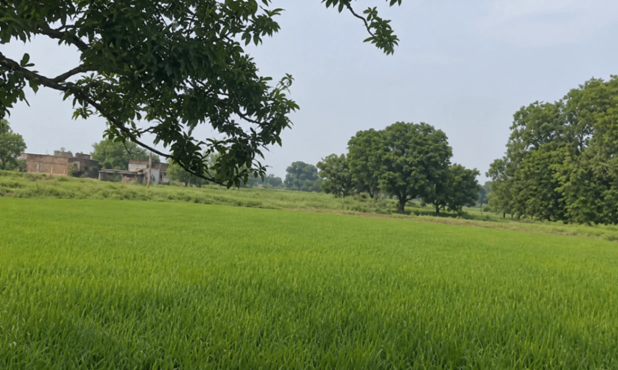 Ram Sanehi Ghat, Barabanki, Uttar Pradesh 225409, India