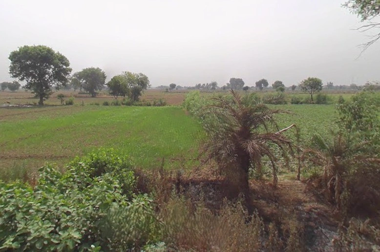 Sikandrabad, Uttar Pradesh 203205, India