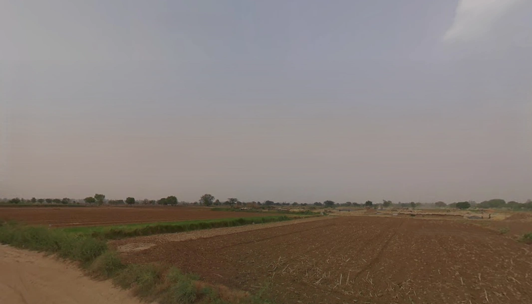 Saidpur, Nizampur Khurd, Haryana 131402, India