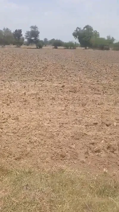 Safidon, Jind, Haryana 126112, India preview 2