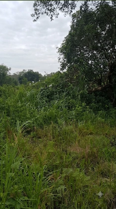 P5J2+W38, Palghar, Malwada, Maharashtra 421303, India - Photo 2