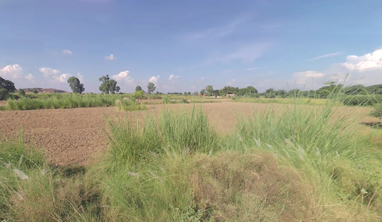 Chandeni, Haryana 122107, India