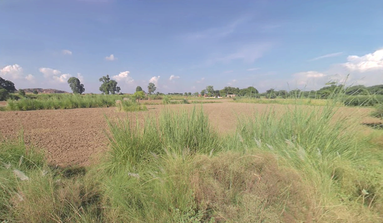 Chandeni, Haryana 122107, India