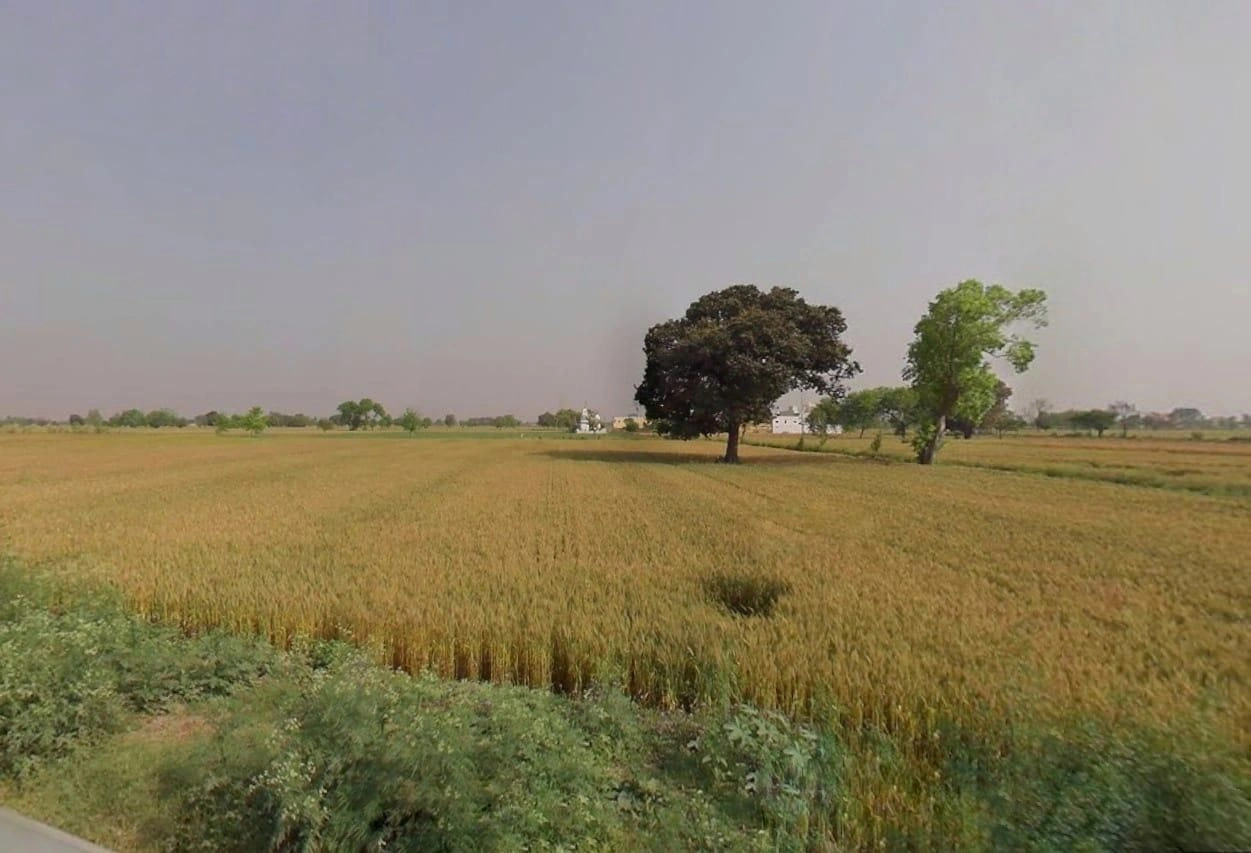 JMM2+CCF, Dhaulana, Uttar Pradesh 245301, India