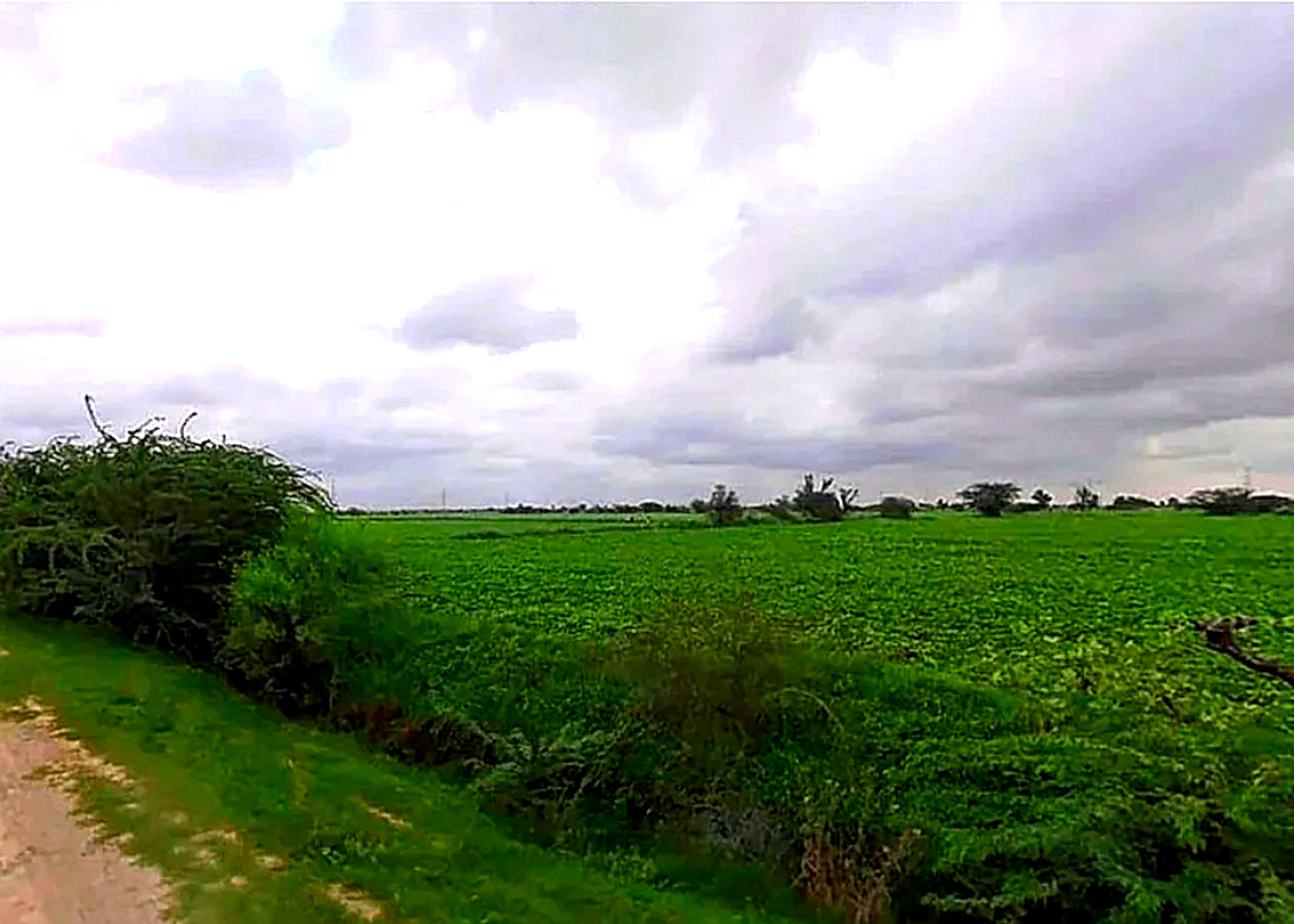 Bassi Naaga, Jaipur, NH-8, Ajmer Road, Jobner, Jobner, Rajasthan 303329, India