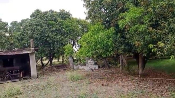 Lalpur, Madhya Pradesh 485775, India