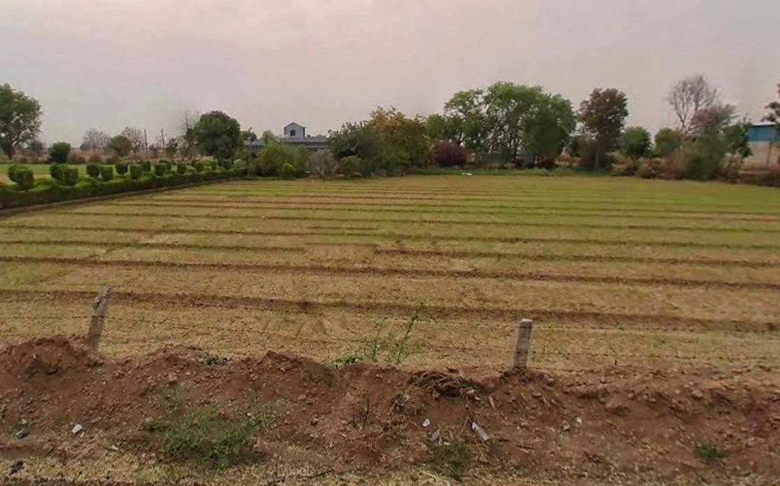 Nadbai, Rajasthan 321602, India