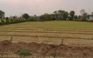 Nadbai, Rajasthan 321602, India preview 2