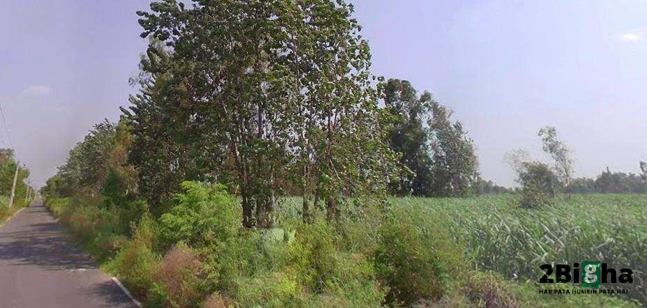 Moradabad, Tajpur Mafi, Uttar Pradesh 244104, India