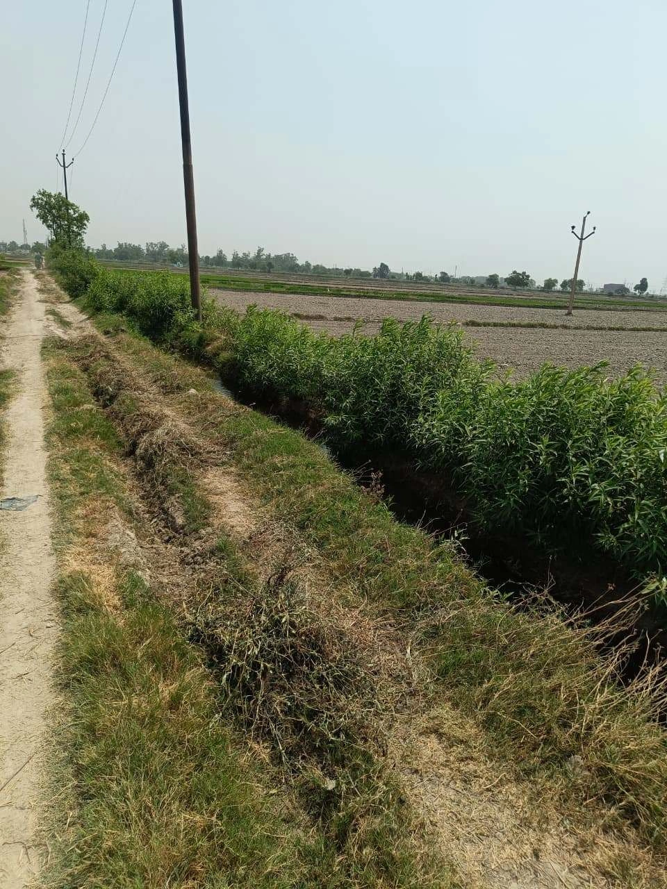 Sahar, Uttar Pradesh, India