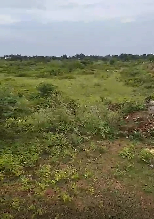 7QJ5+QR6, Raipur, Dhansuli, Chhattisgarh 493111, India