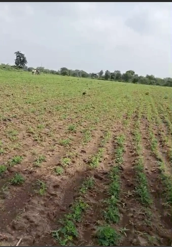 VX37+V8 Dakachya, Madhya Pradesh, India