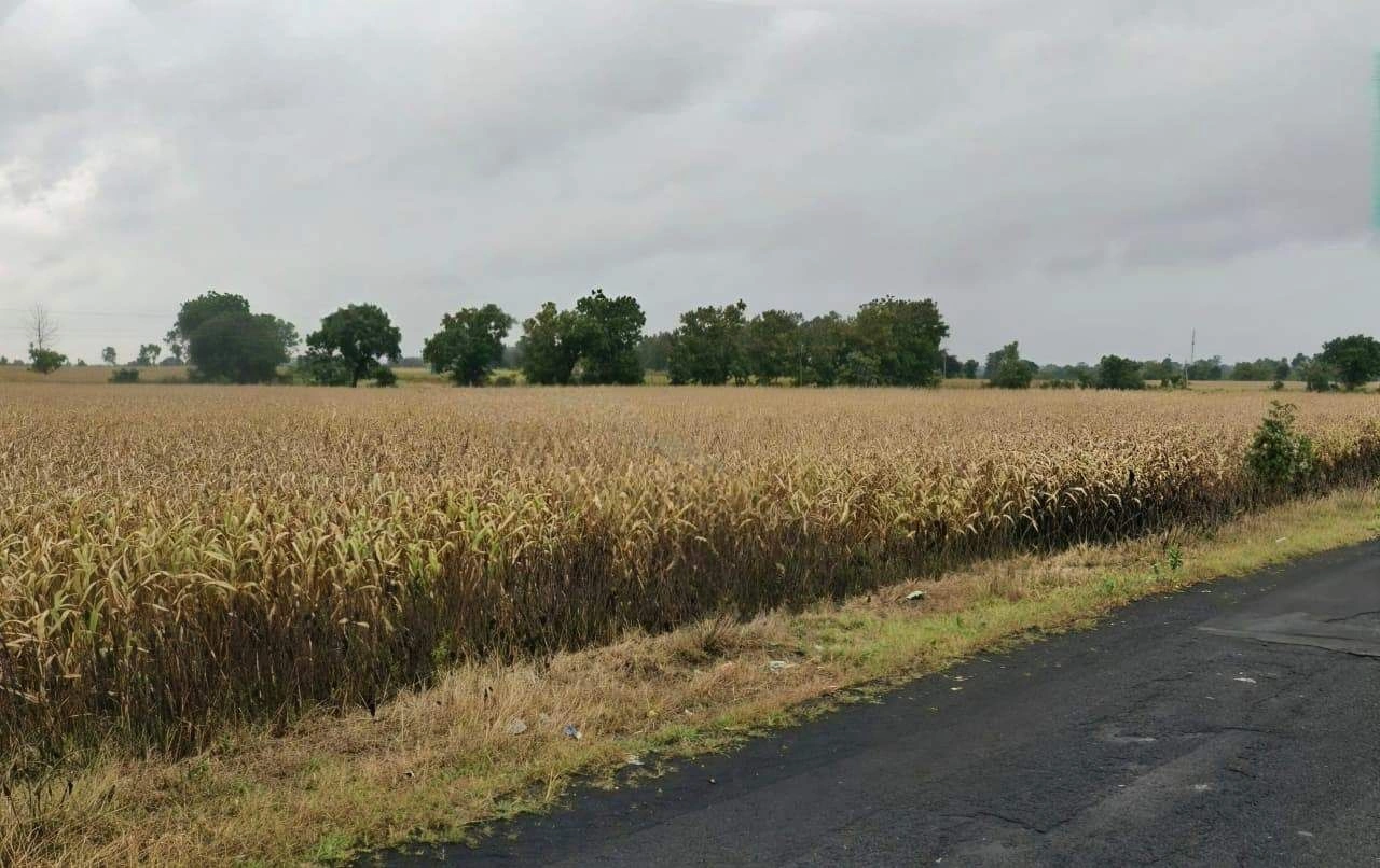 Jagdishpur, Madhya Pradesh 462038, India