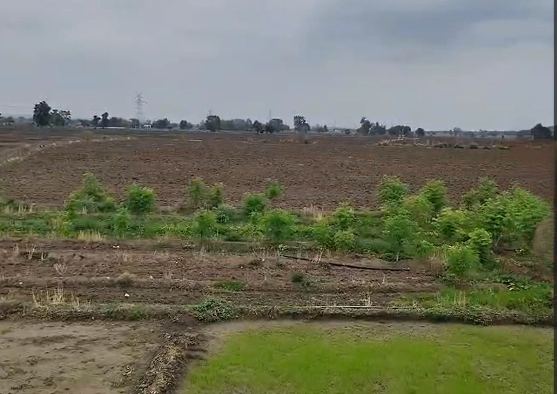 Katariya, Raisen, Madhya Pradesh 464651, India