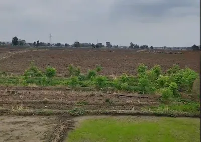 Katariya, Raisen, Madhya Pradesh 464651, India preview 3
